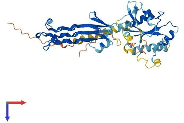 GTPBP10 Protein (AA 1-387) (His tag)