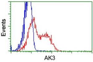 Flow Cytometry (FACS) image for anti-Adenylate Kinase 3 (AK3) antibody (ABIN1496521) (Adenylate Kinase 3 Antikörper)