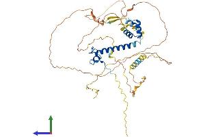Protein Structure (PS) image for Doublesex and Mab-3 Related Transcription Factor 3 (DMRT3) (AA 1-476) protein (His tag) (ABIN7558399)