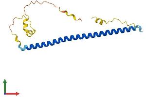 Protein Structure (PS) image for Jun Dimerization Protein 2 (JDP2) (AA 1-163) protein (His tag) (ABIN7556838)
