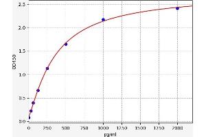 Glypican 4 (GPC4) ELISA Kit