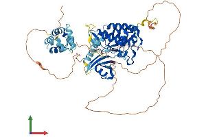Protein Structure (PS) image for Interleukin-1 Receptor-Associated Kinase 3 (IRAK3) (AA 1-596) protein (His tag) (ABIN7548569)