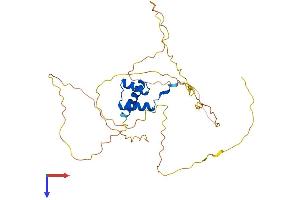 DLX2 Protein (AA 1-328) (His tag)