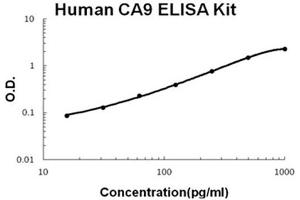 Human CA9 Accusignal ELISA Kit Human CA9 AccuSignal ELISA Kit standard curve. (CA9 ELISA Kit)
