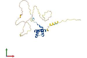 Protein Structure (PS) image for Homeobox B8 (HOXB8) (AA 1-243) protein (His tag) (ABIN7548416)
