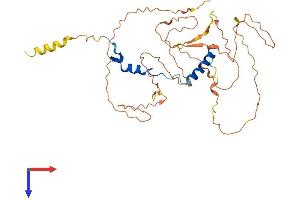 NFYA Protein (AA 1-347) (His tag)