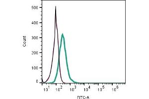 Cell surface detection of CD38 by indirect flow cytometry in live intact mouse J774 macrophage line: + goat-anti-rabbit-FITC. (CD38 Antikörper  (Extracellular))