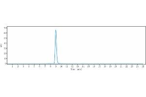 anti-EGFR (Losatuxizumab Biosimilar) antibody