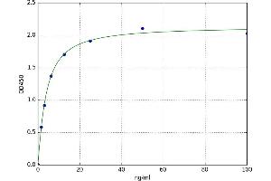 A typical standard curve (HSD11B1 ELISA Kit)