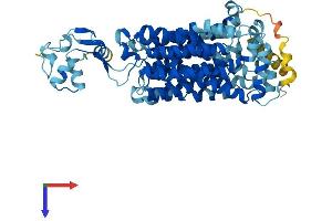 SLC22A1 Protein (AA 1-556) (His tag)