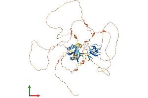 Protein Structure (PS) image for Mitogen-Activated Protein Kinase 8 Interacting Protein 1 (MAPK8IP1) (AA 1-711) protein (His tag) (ABIN7554198)