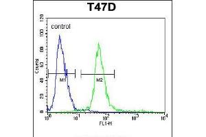 Flow cytometric analysis of T47D cells (right histogram) compared to a negative control cell (left histogram).