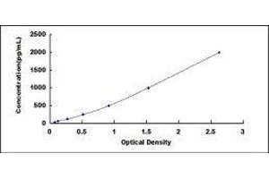 ELISA image for Bone Morphogenetic Protein 4 (BMP4) ELISA Kit (ABIN414358)
