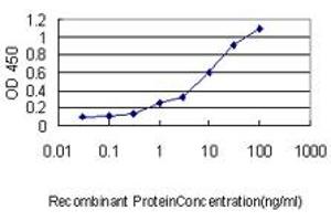 Image no. 4 for anti-Zinc Finger Protein 143 (ZNF143) (AA 1-627) antibody (ABIN466122) (ZNF143 Antikörper  (AA 1-627))