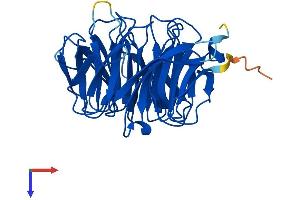 PEX7 Protein (AA 1-323) (His tag)
