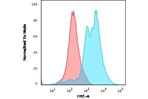 Flow Cytometric Analysis of PFA-fixed Jurkat cells. (ZAP70 Antikörper  (AA 1-254))