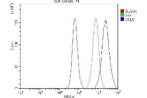 Flow Cytometry analysis of A549 cells using anti-GCLC antibody (ABIN3042420). (GCLC Antikörper  (AA 437-637))