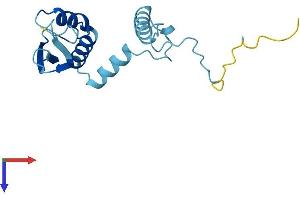 C3orf34 Protein (AA 1-163) (His tag)