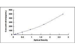 ELISA image for Surfactant Protein D (SFTPD) ELISA Kit (ABIN416223)