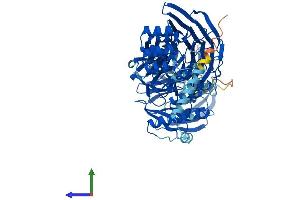 AlphaFold protein structure predicition of Mouse Recombinant Ift80 Protein, UniprotID Q8K057