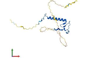 Protein Structure (PS) image for Cyclin-Dependent Kinase Inhibitor 1B (p27, Kip1) (CDKN1B) (AA 1-197) protein (His tag) (ABIN7563274)