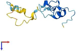 CRIPT Protein (AA 1-101) (His tag)