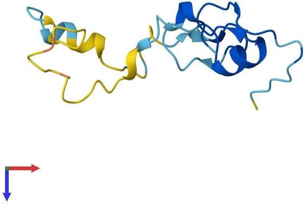 CRIPT Protein (AA 1-101) (His tag)