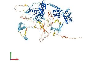 Protein Structure (PS) image for Metastasis Associated 1 (MTA1) (AA 1-715) protein (His tag) (ABIN7564671)