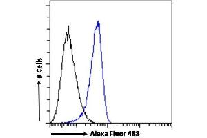 (ABIN185002) Flow cytometric analysis of paraformaldehyde fixed K562 cells (blue line), permeabilized with 0. (IFIH1 Antikörper  (N-Term))