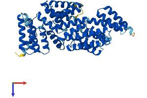 AlphaFold protein structure predicition of Human Recombinant IFIT1B Protein, UniprotID Q5T764