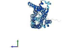 Protein Structure (PS) image for Trace Amine Associated Receptor 2 (TAAR2) (AA 1-339) protein (His tag) (ABIN7557505)