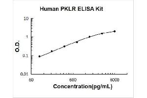 Pyruvate Kinase, Liver and RBC (PKLR) ELISA Kit
