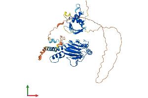 Protein Structure (PS) image for Interferon Regulatory Factor 6 (IRF6) (AA 1-467) protein (His tag) (ABIN7556805)