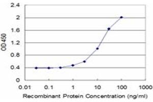 Detection limit for recombinant GST tagged ALAS2 is approximately 0. (ALAS2 Antikörper  (AA 1-100))