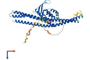 Sorting Nexin 4 Protein (SNX4) (AA 1-450) (His tag)