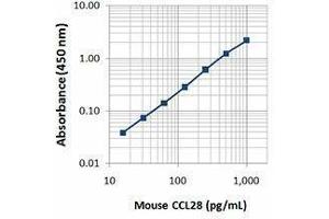 ELISA image for anti-Chemokine (C-C Motif) Ligand 28 (CCL28) antibody (ABIN2664096) (CCL28 Antikörper)