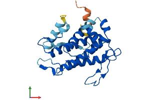 Protein Structure (PS) image for MOB Kinase Activator 3A (MOB3A) (AA 1-217) protein (His tag) (ABIN7549489)