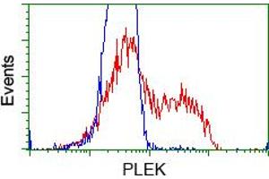 HEK293T cells transfected with either pCMV6-ENTRY PLEK (RC203780) (Red) or empty vector control plasmid (Blue) were immunostained with anti-PLEK mouse monoclonal (ABIN2453488), and then analyzed by flow cytometry. (Pleckstrin Antikörper)