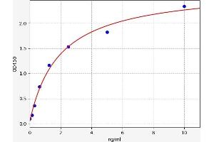 VHL ELISA Kit