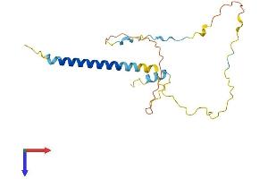 TRIM Protein (AA 1-187) (His tag)