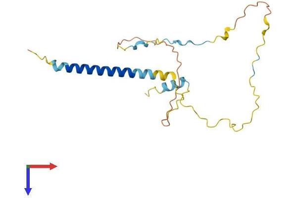 TRIM Protein (AA 1-187) (His tag)