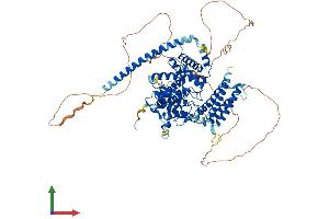 Protein Structure (PS) image for GIT1 (GIT1) (AA 1-761) protein (His tag) (ABIN7554020)