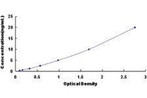 ELISA image for Lysophosphatidylcholine Acyltransferase 2 (LPCAT2) ELISA Kit (ABIN429447)