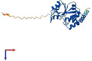 CDKN3 Protein (AA 1-211) (His tag)