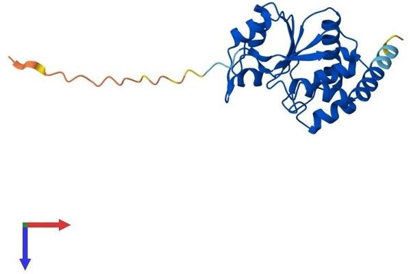 CDKN3 Protein (AA 1-211) (His tag)