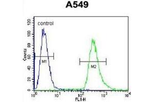 Flow cytometric analysis of A549 cells using Endoplasmin / HSP90B1 / TRA1 Antibody (Center) Cat. (GRP94 Antikörper  (Middle Region))