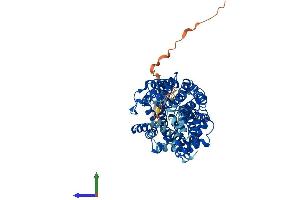 Protein Structure (PS) image for Solute Carrier Family 6 (Neurotransmitter Transporter, Dopamine), Member 3 (SLC6A3) (AA 1-619) protein (His tag) (ABIN7557693)