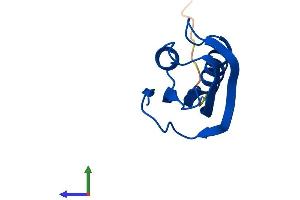 Protein Structure (PS) image for Acylphosphatase 2, Muscle Type (Acyp2) (AA 1-106) protein (His tag) (ABIN7556470)
