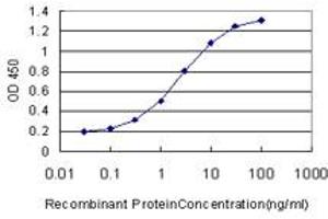 Detection limit for recombinant GST tagged RUNX2 is approximately 0. (RUNX2 Antikörper  (AA 251-350))