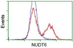 HEK293T cells transfected with either RC203470 overexpress plasmid (Red) or empty vector control plasmid (Blue) were immunostained by anti-NUDT6 antibody (ABIN2454171), and then analyzed by flow cytometry. (NUDT6 Antikörper)
